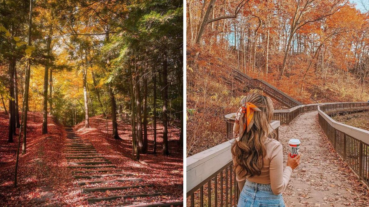 7 Toronto Fall Hikes That Will Take You Through A Red & Gold Wonderland