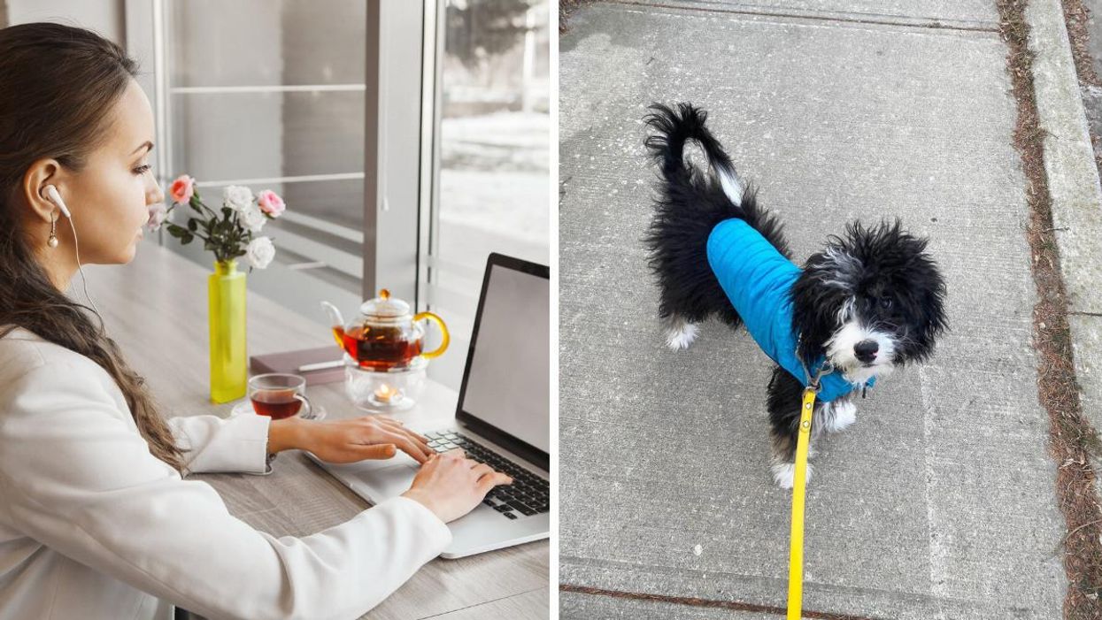 7 Toronto Jobs That Are Super Flexible Side Hustles & Pay Up To $30 An Hour