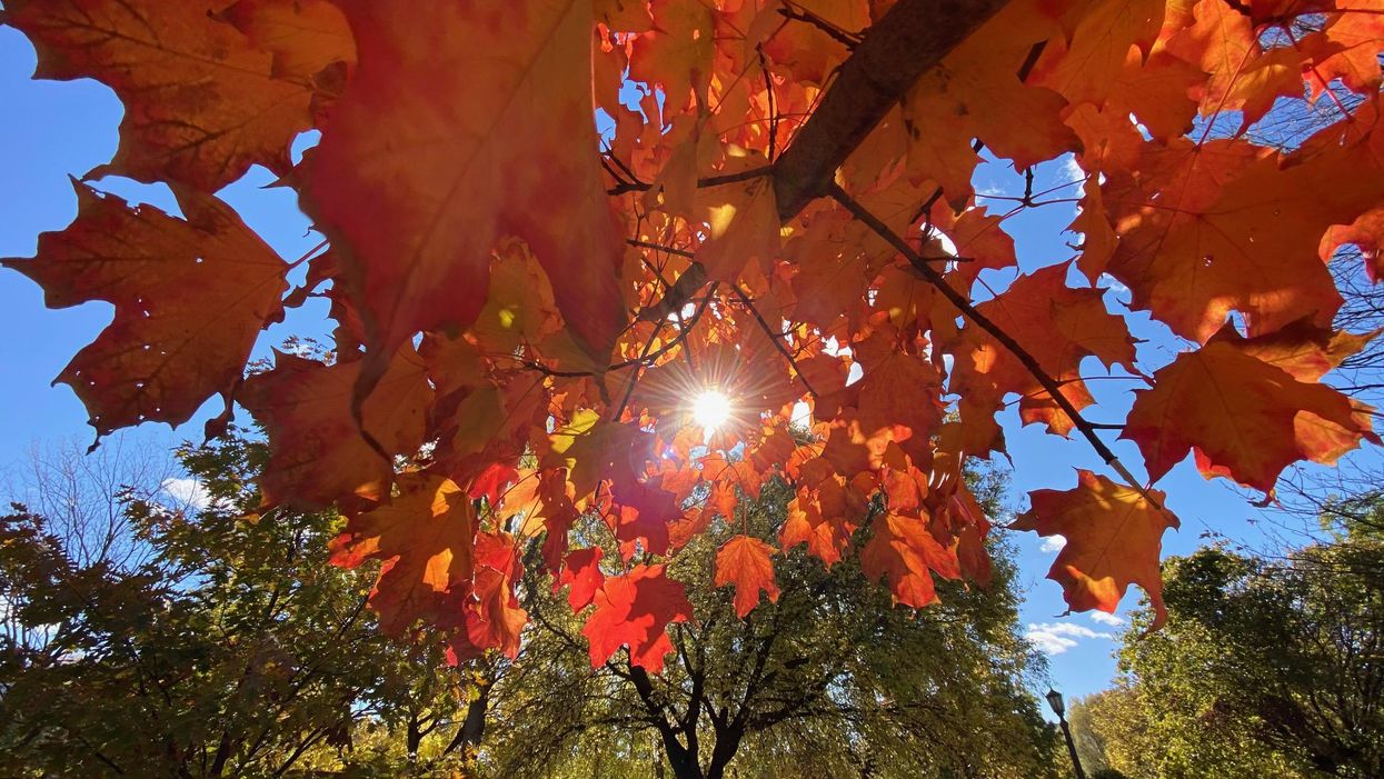 7 Tweets That Make A Very, Very Compelling Argument For Getting Rid Of Daylight Saving Time