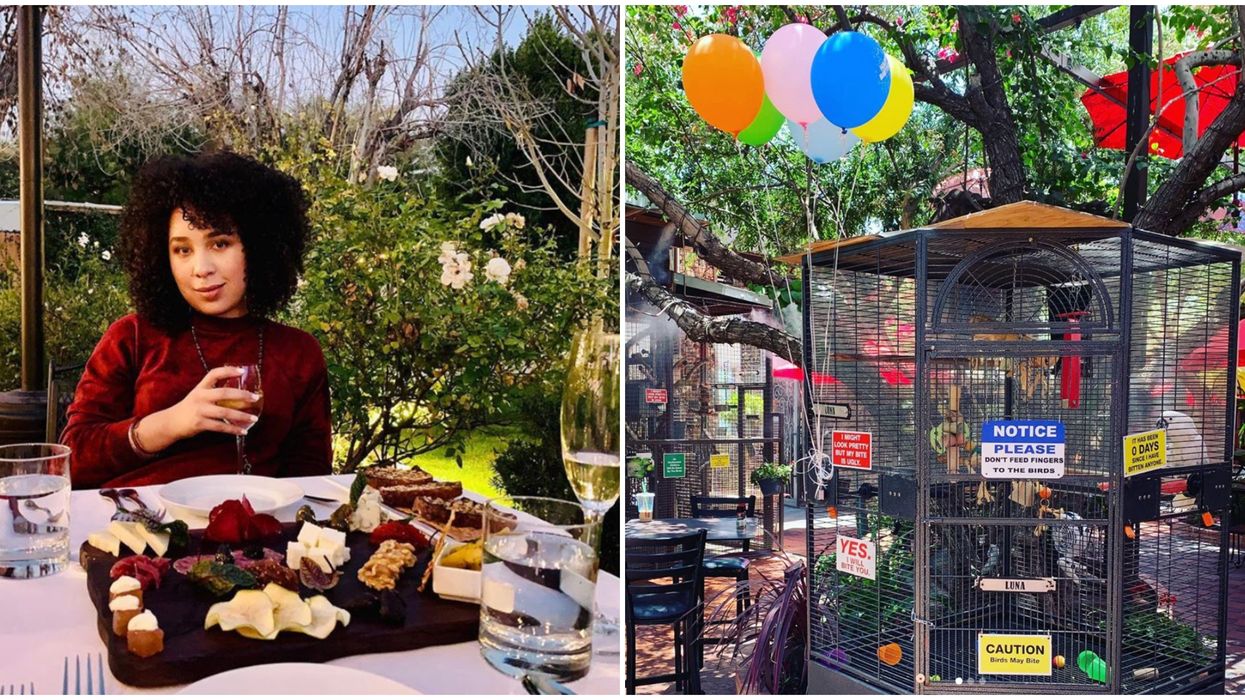 7 Unique Restaurants In Phoenix That Are Worth The Trip