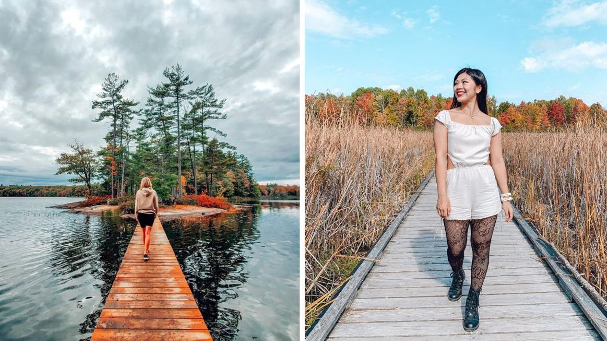 8 Boardwalk Trails In Ontario That Will Lead You To Magical Fall Views