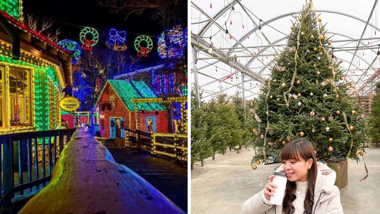 8 Christmas Activities Near Toronto Where You Can Get Festive For $20 Or Less