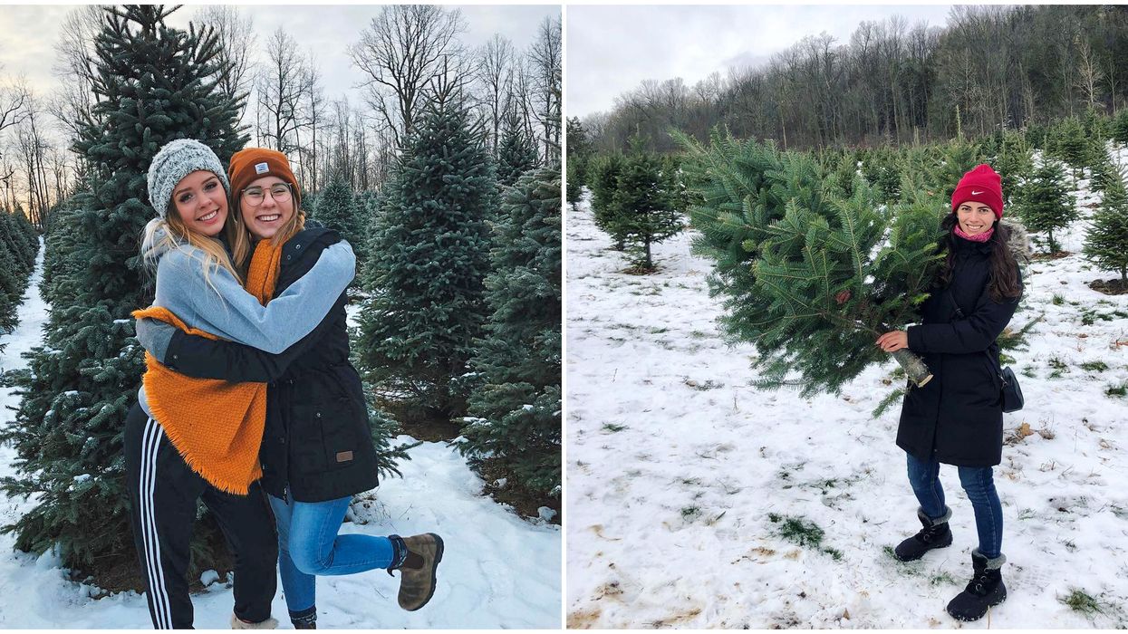 8 Christmas Tree Farms In Ontario That Will Get You In The Holiday Spirit