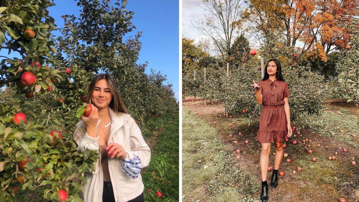 8 Cute Apple Picking Spots Near Toronto To Check Out This Fall