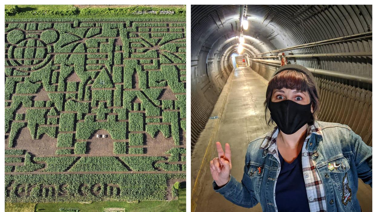 8 Exciting Things To Do In Ottawa This Weekend That Cost $25 Or Less