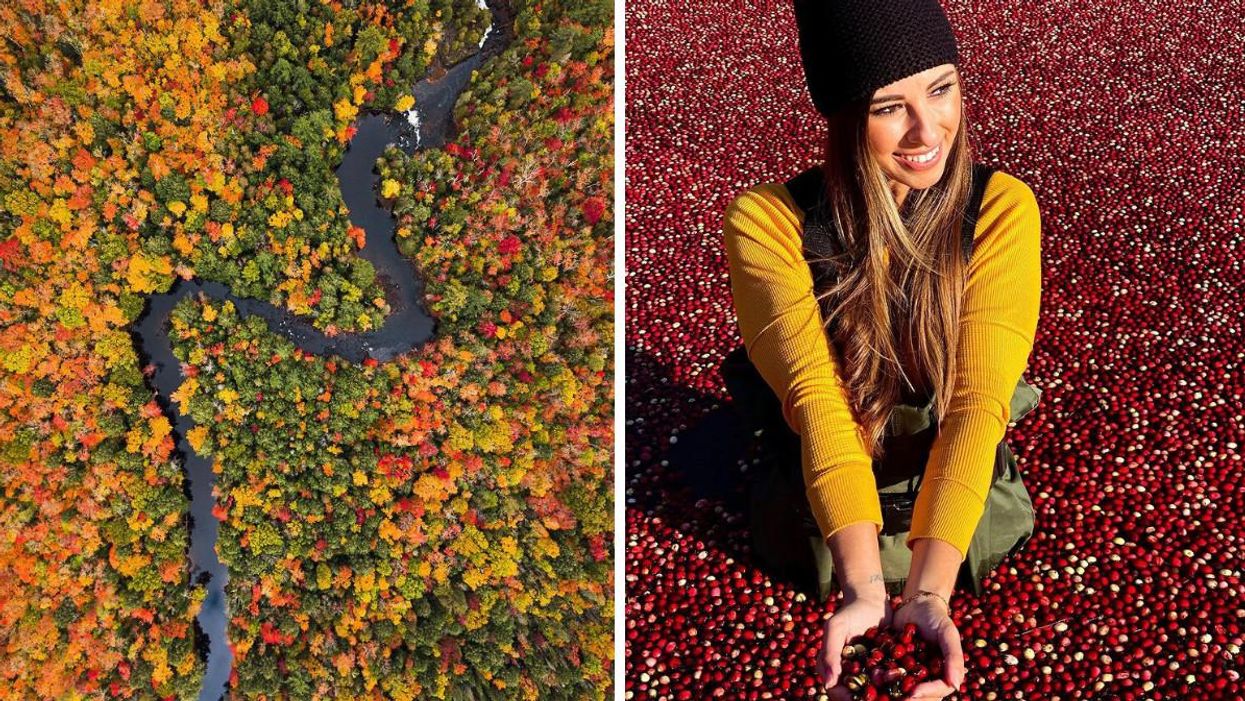 8 Fall Activities In Muskoka That Let You Enjoy The Season To The Fullest