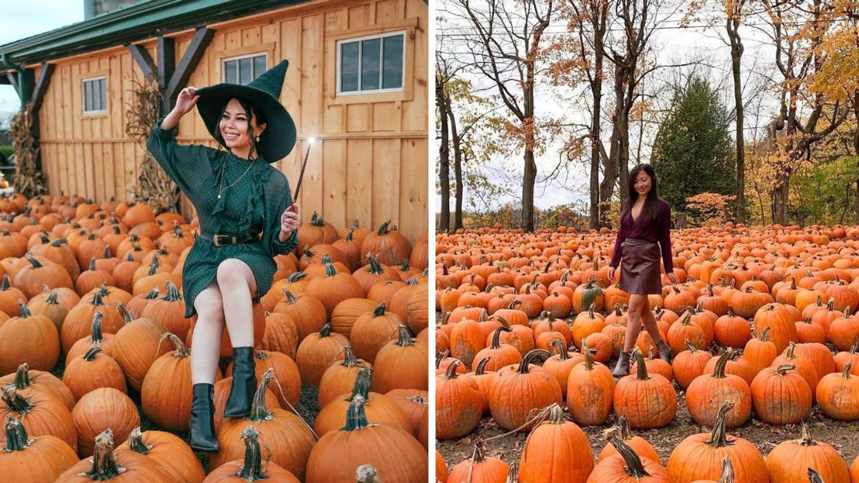 8 Ontario Farms Where You Can Visit A Sea Of Orange Pumpkins