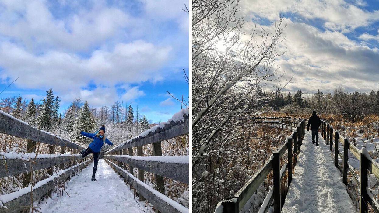 8 Ottawa Boardwalk Trails That Are Extra Magical In The Winter