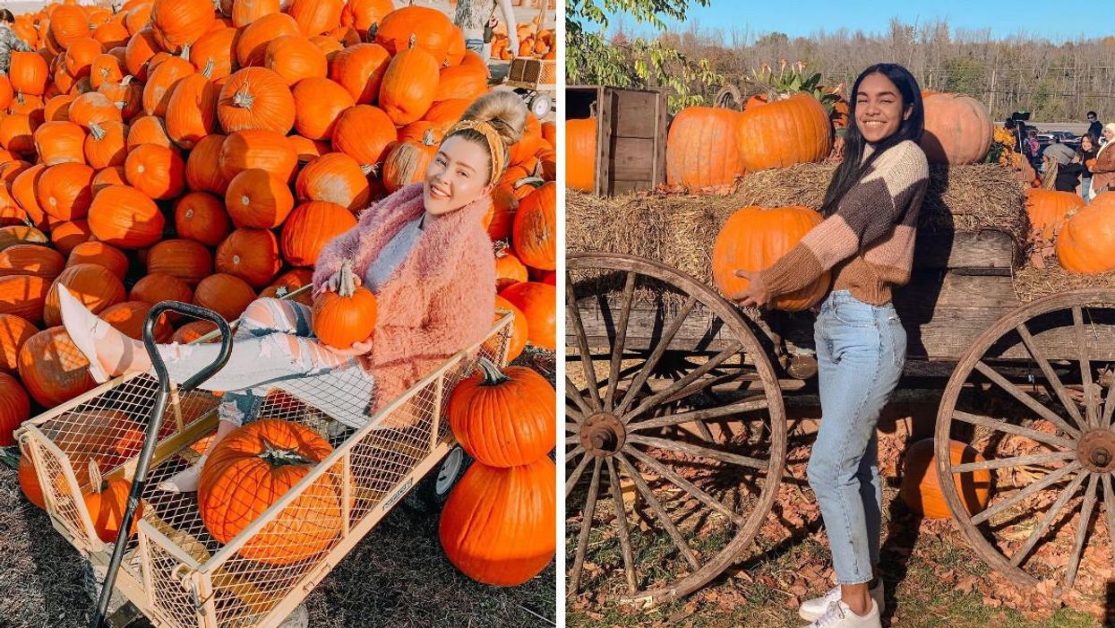 8 Pumpkin Patches Near Ottawa That Are So Cute You Won't Believe Your Pies
