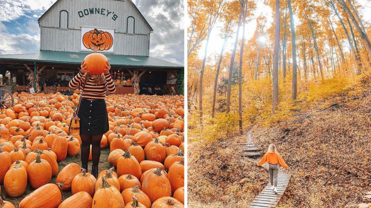 8 Stunning Spots Near Toronto Where You Can Have An Unbe-leaf-able Fall Photoshoot