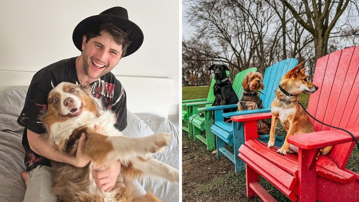 8 Stunning Stays In Ontario That Are The Perfect Getaway For You & Your Pup