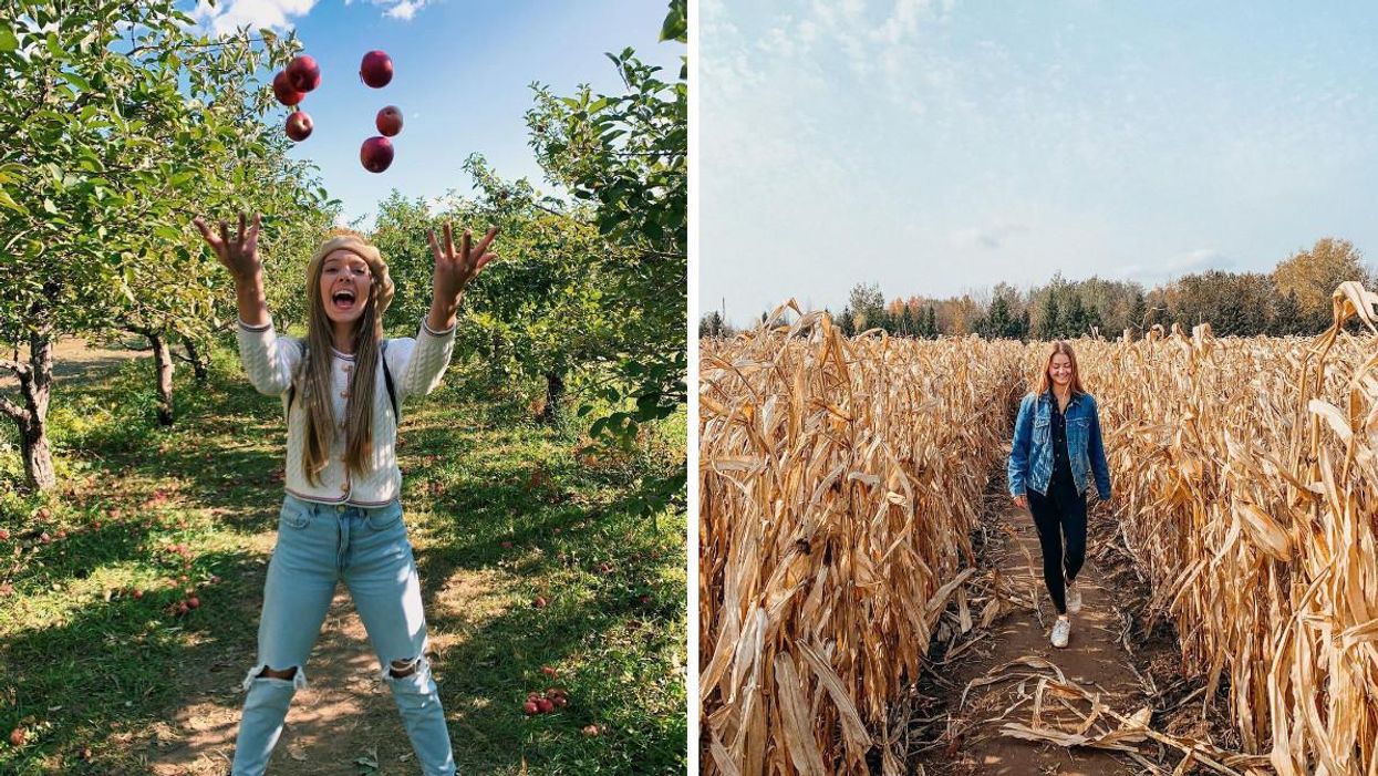 8 Things To Do In Ottawa This Weekend If You're Craving Cozy Fall Vibes