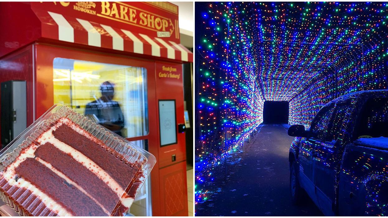 8 Things To Do In Ottawa This Weekend, November 13 to 15