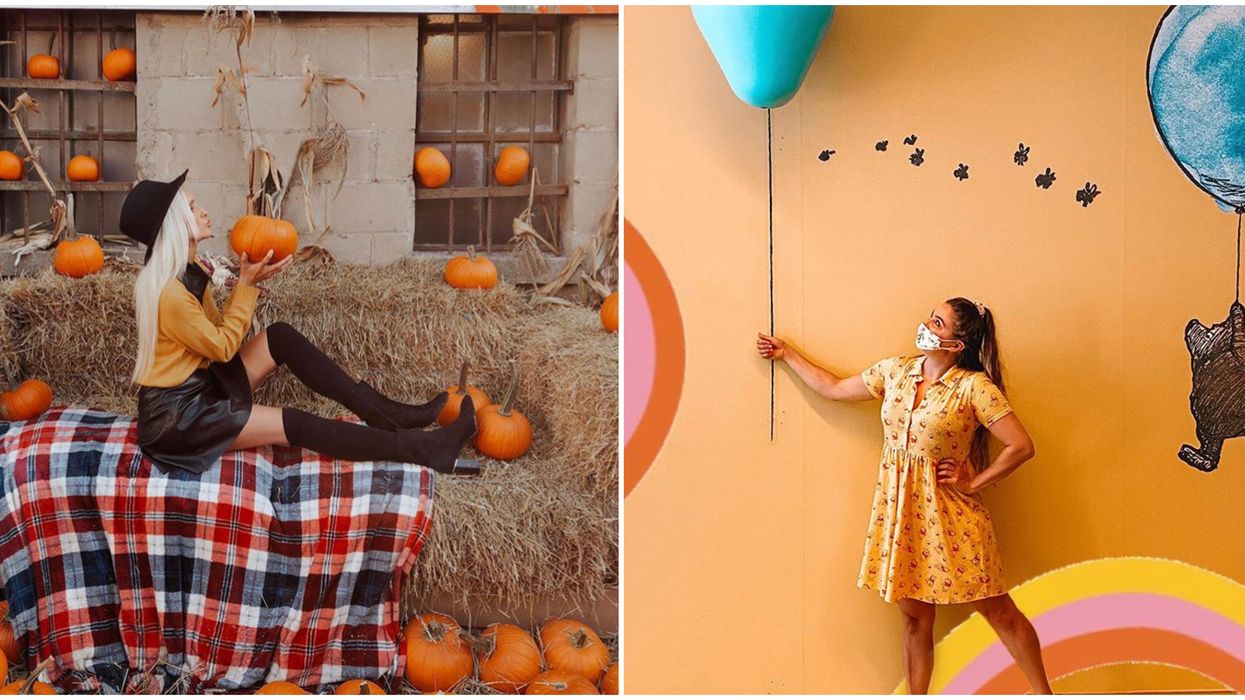 8 Things To Do In Toronto This Weekend, October 9 To October 12