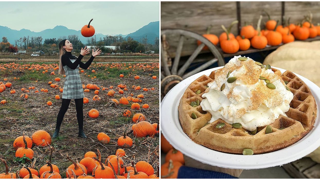 8 Things To Do In Vancouver This Weekend, October 2 to 4