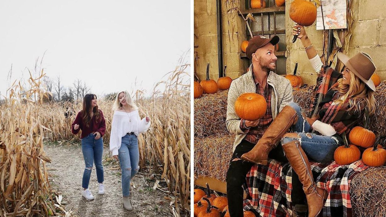 8 Toronto Fall Date Ideas That Will Add Some Spice To Your Season