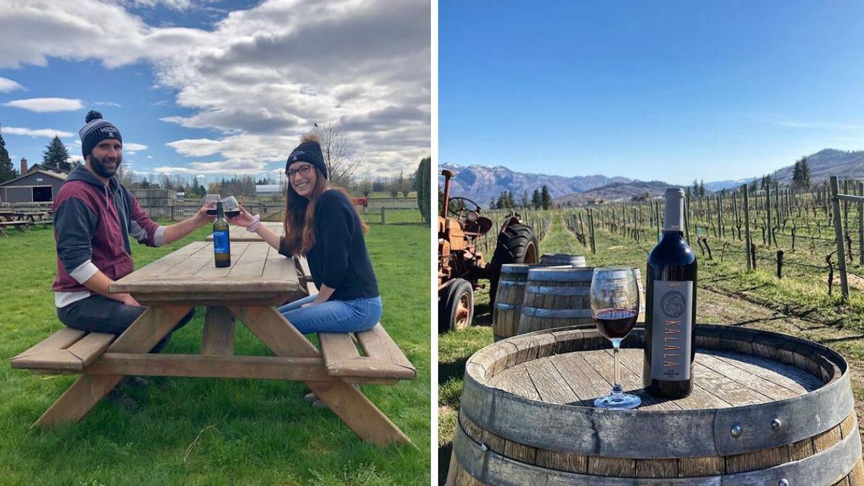 8 Unique BC Wines You’ll Want To Sip On All Winter Long