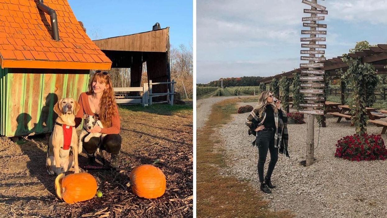 9 activités à faire dans le Grand Montréal cet automne 2021