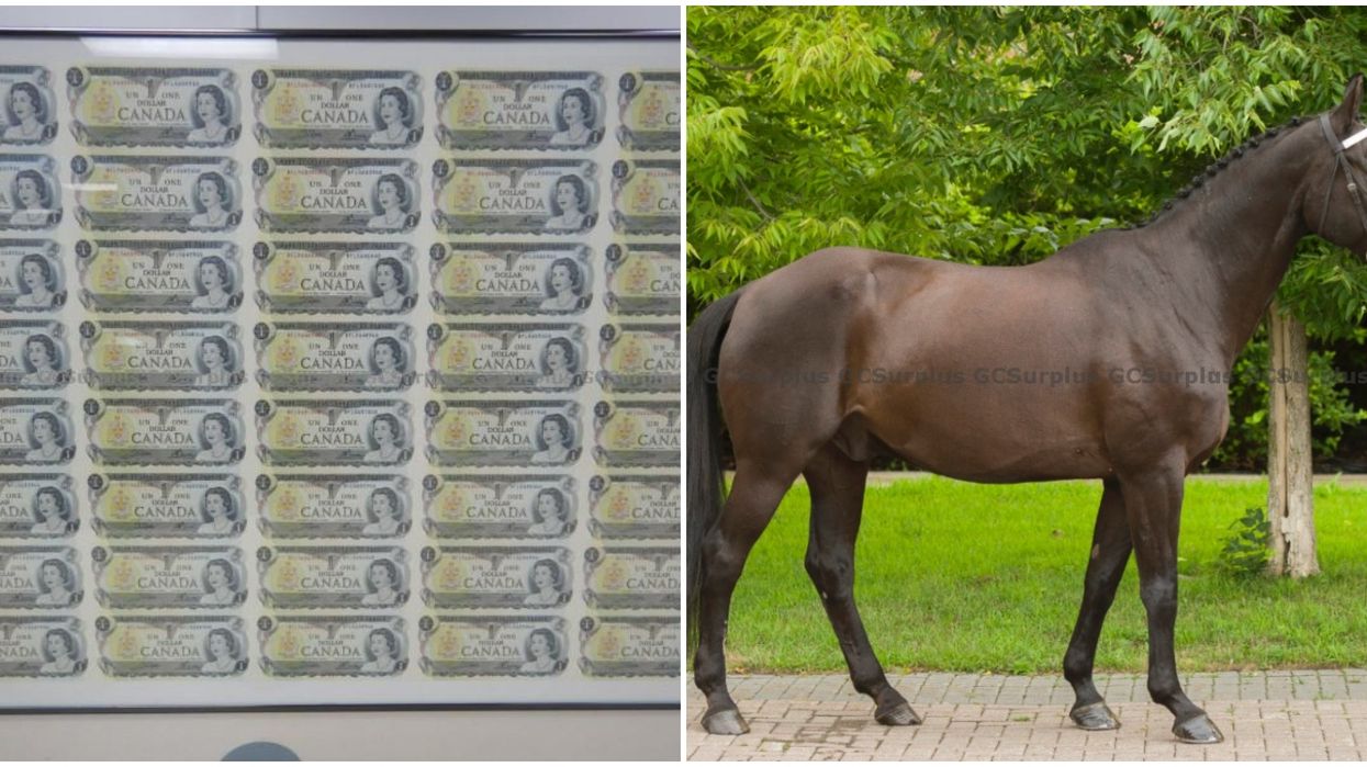 9 Canada Government Surplus Items That You Can Actually Buy Right Now