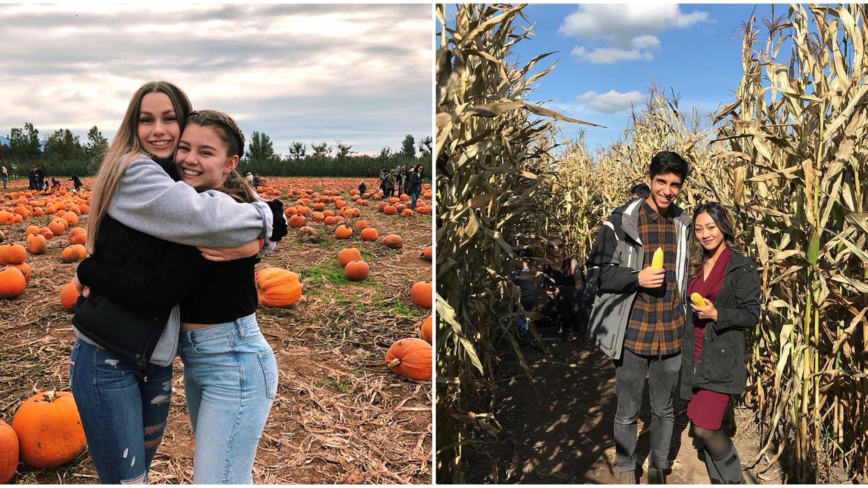 9 Fall Activities For Couples In Vancouver That Your S/O Will Love