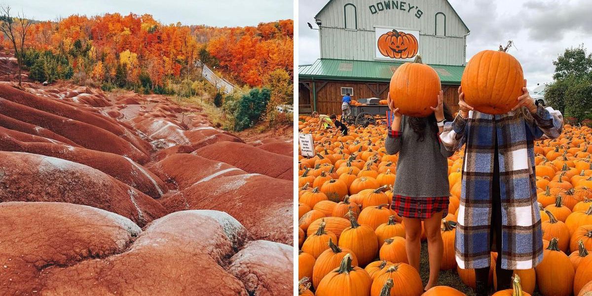 9 Fall Activities Near Toronto Where You Can Have Fun For 30 Or Less 9 Fall Activities Near Toronto Where You Can Have Fun For 30 Or Less