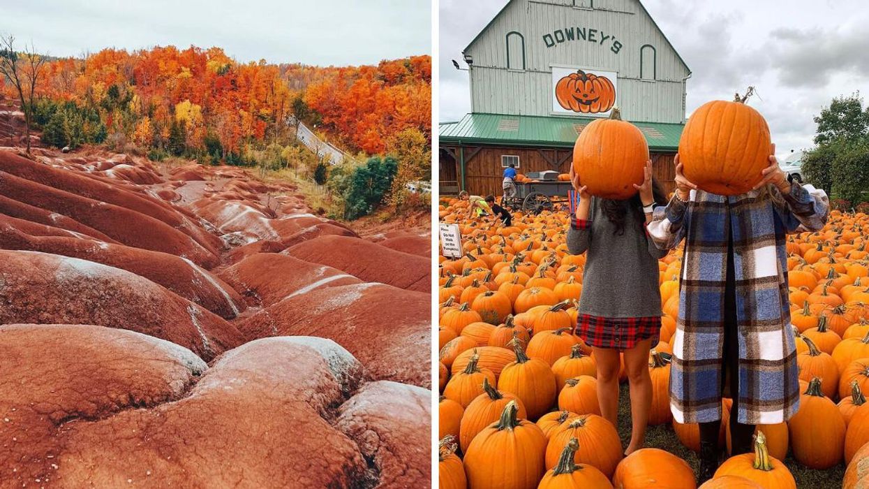 9 Fall Activities Near Toronto Where You Can Have Fun For $30 Or Less