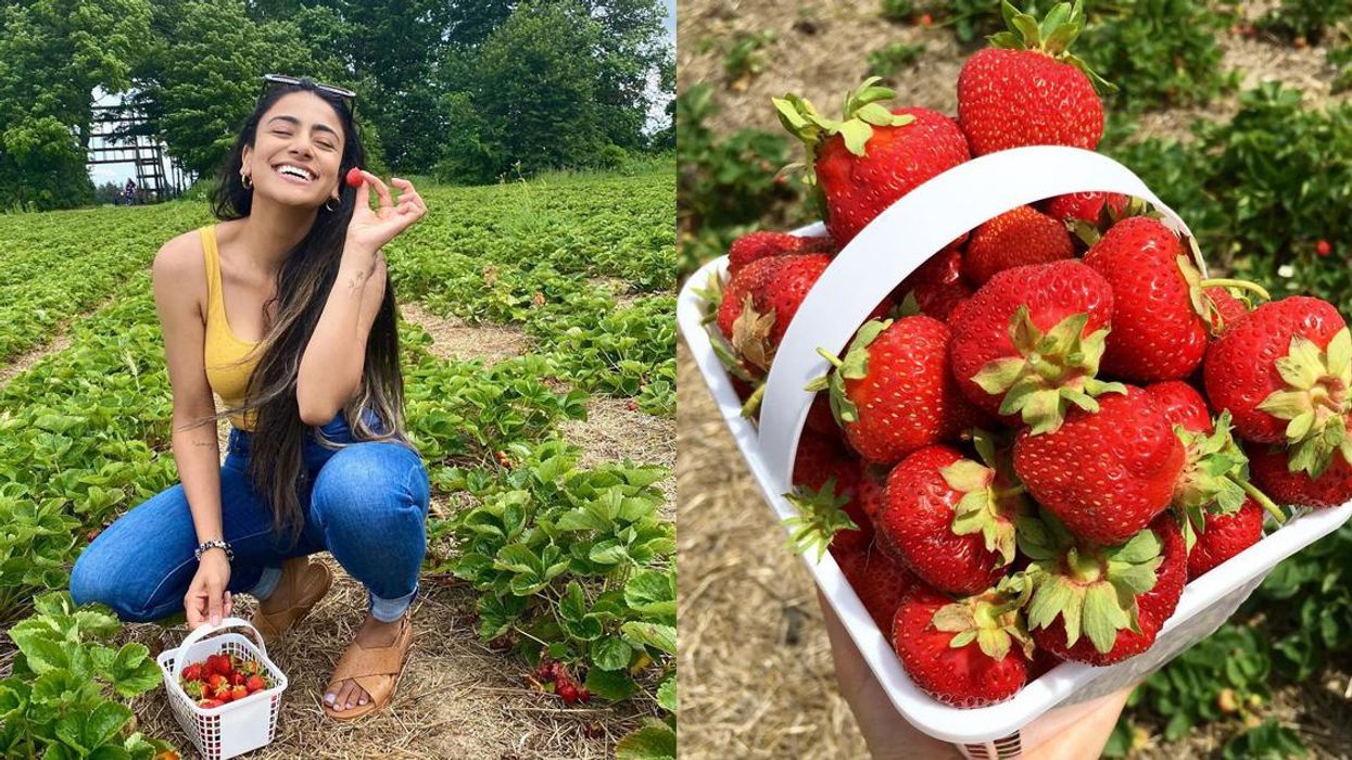 9 Farms Where You Can Pick Your Own Berries In Ontario This Summer