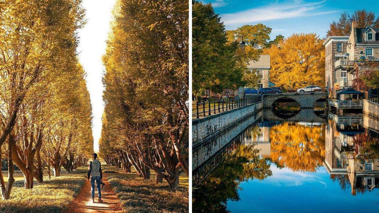 9 Gorgeous Places In Ontario That Feel Like You're Exploring Europe In The Fall