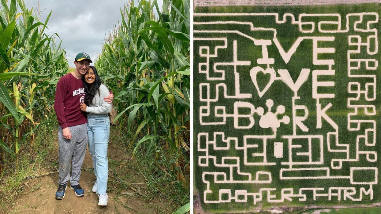 9 Massive Corn Mazes In Ontario That You Can Explore With Your BFF