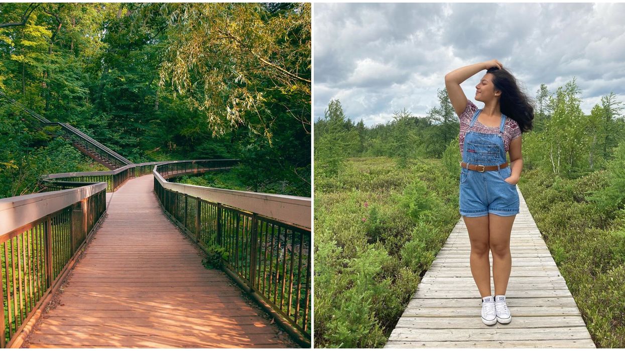9 Ontario Boardwalk Trails That Will Almost Make You Want To Take Up Running