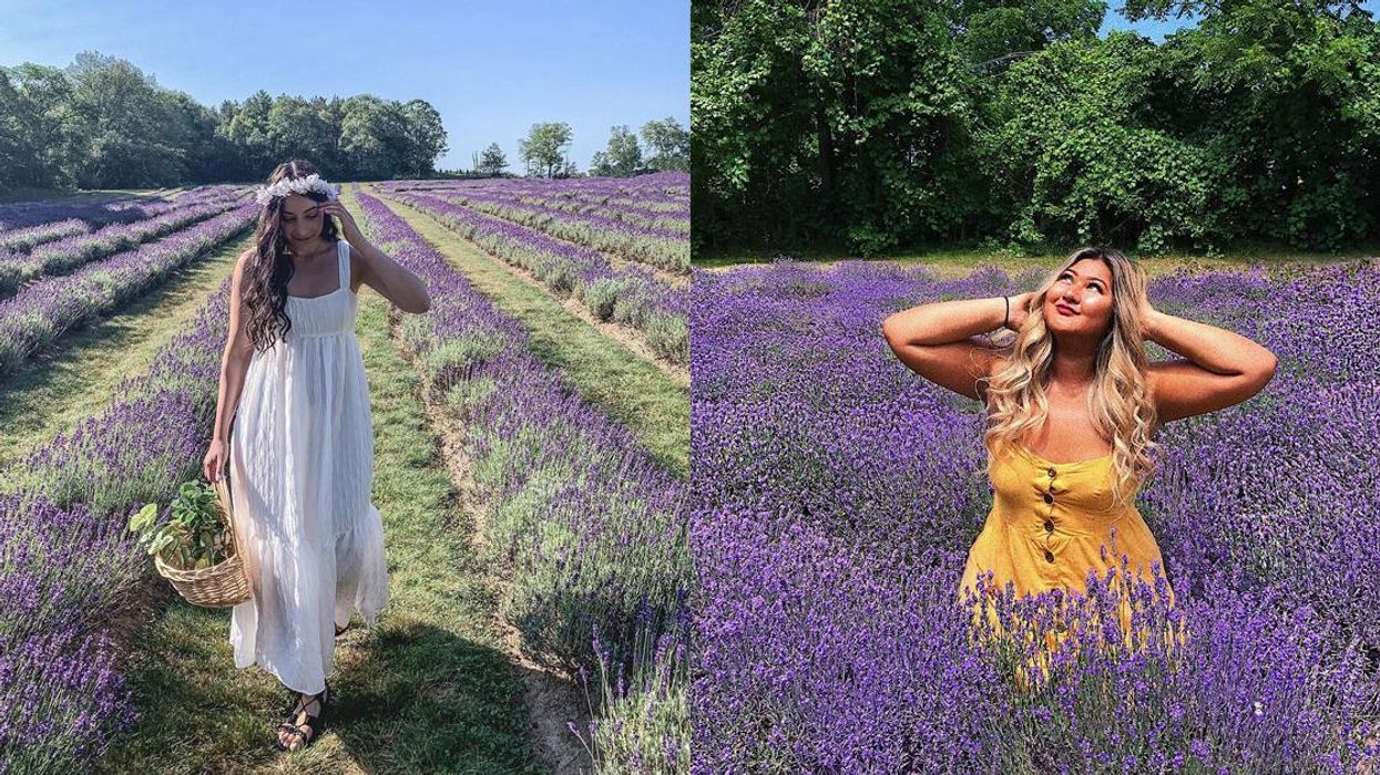 9 Ontario Lavender Farms Where You Can See Thousands Of Flowers