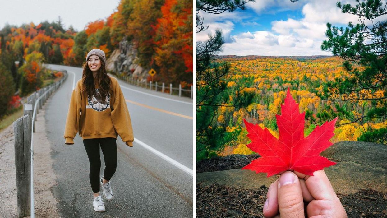 9 Provincial Parks In Ontario Where You Can Already See Colourful Leaves