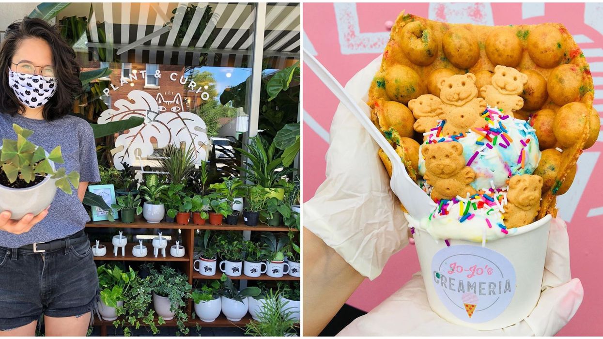 9 Things To Do In Ottawa This Weekend, August 7 To 9 2020