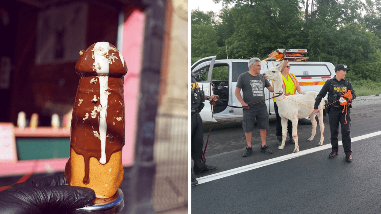 9 WTF Moments That Happened In Ontario This Year That We Still Can't Stop Thinking About