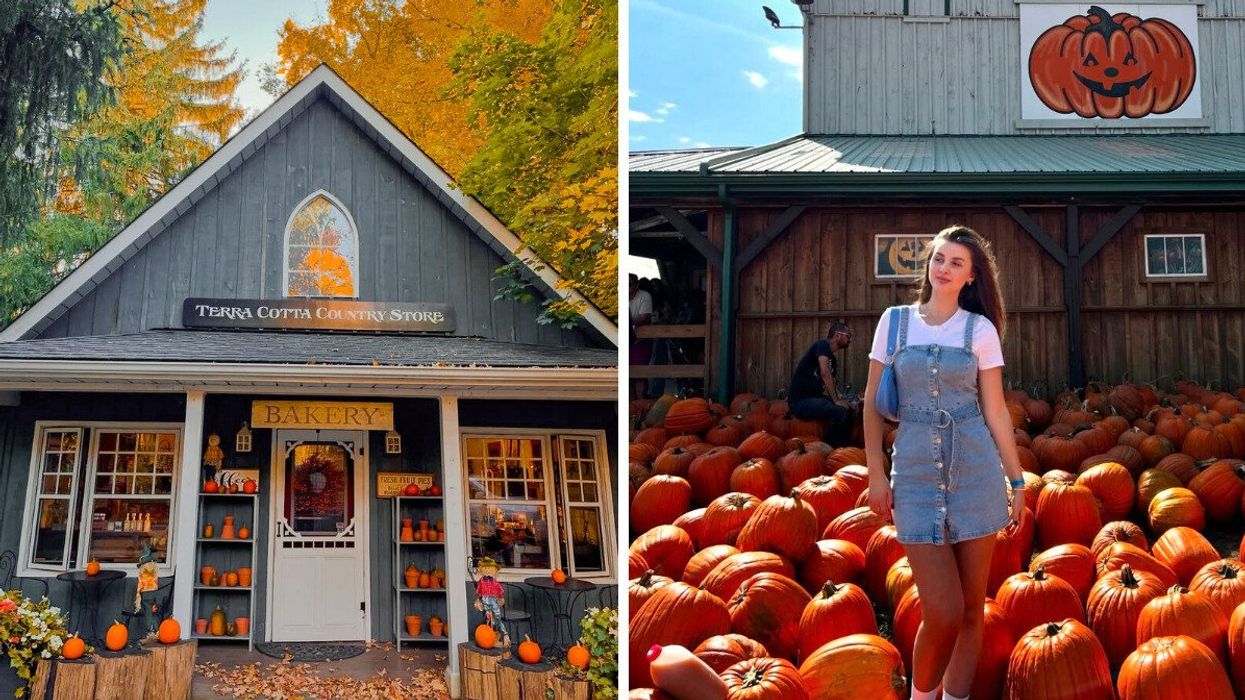 A bakery with fall decor. Right: A person standing in a pumpkin patch.