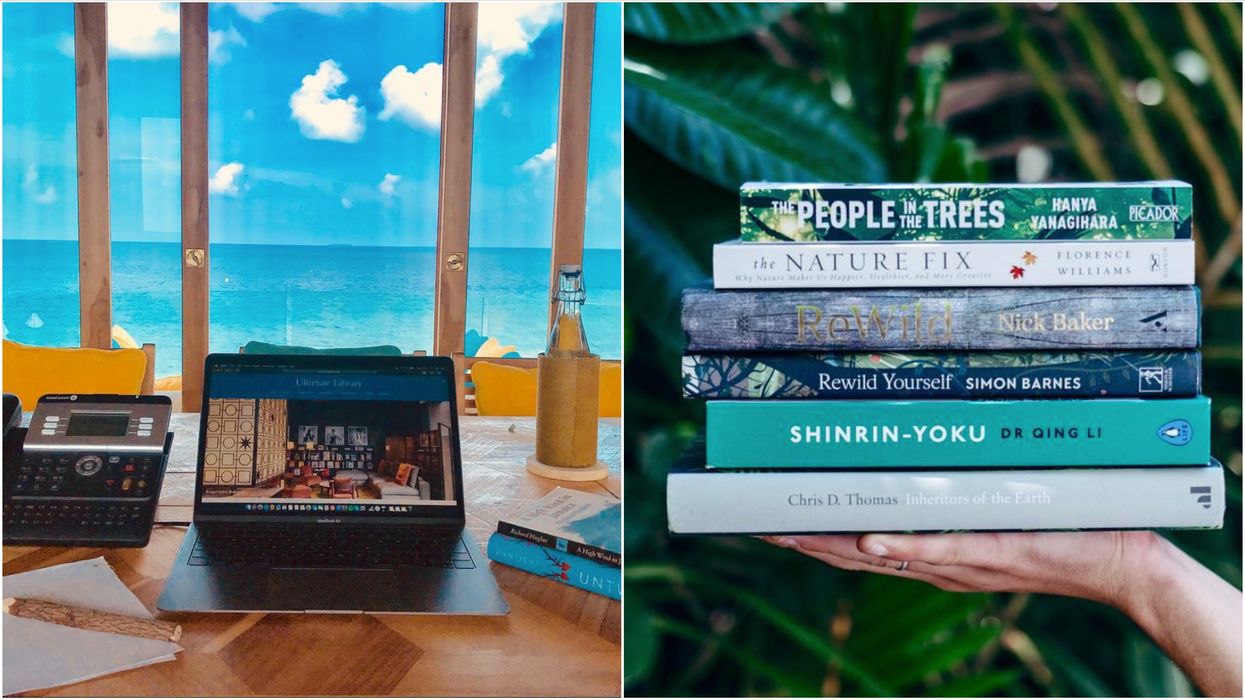 A 'Barefoot Bookseller' Is Wanted In The Maldives & Canadians Can Apply For The Job