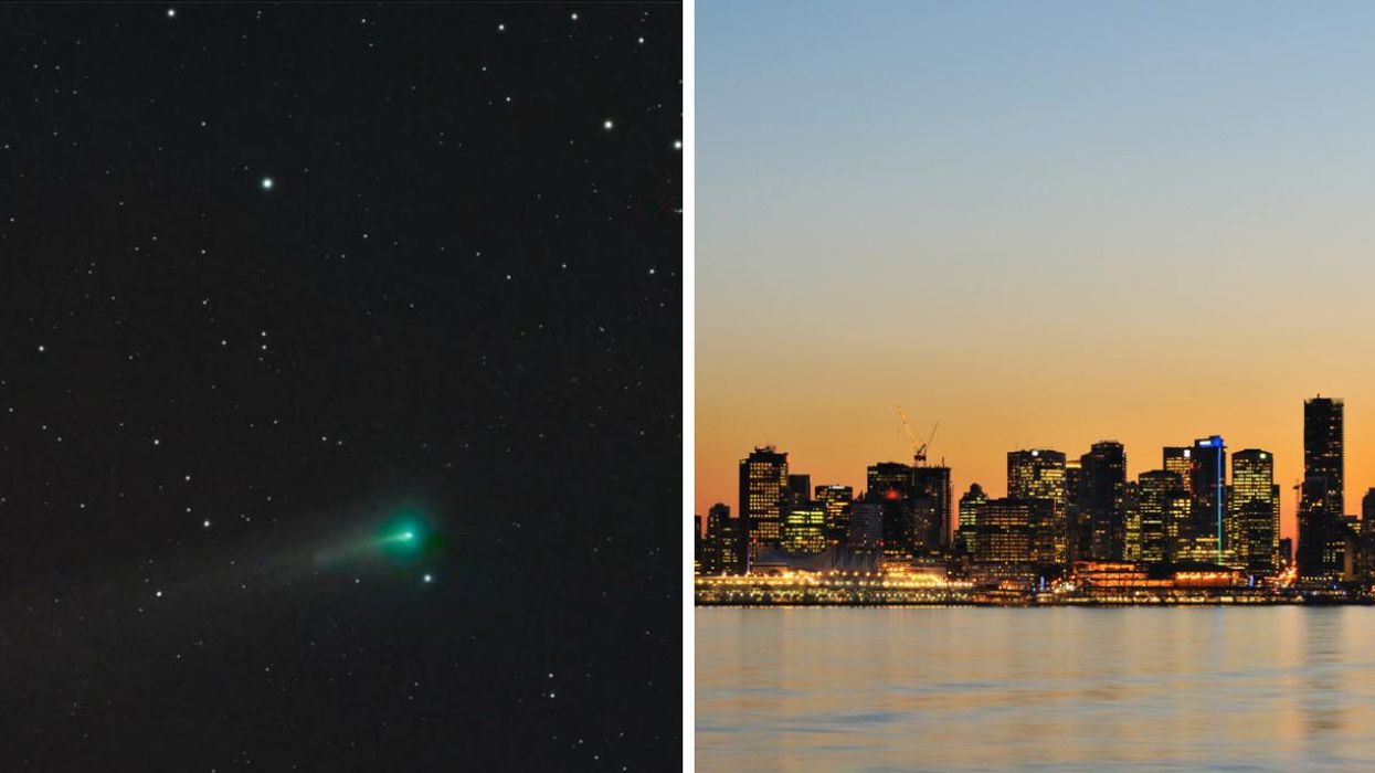 A BC Photographer Captured 2021's Brightest Comet & Here's How You Can See It Again Next Week