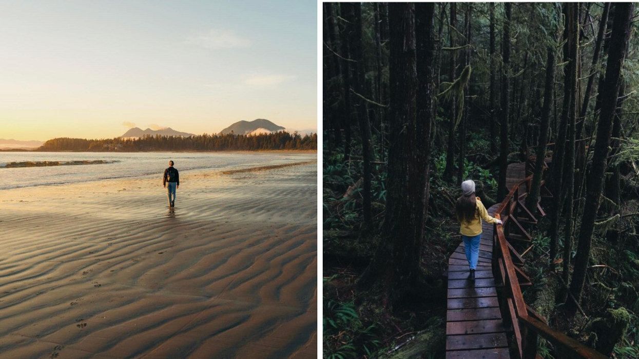 A beach in Tofino. Right: Rainforest Loop Trail in the small town of Tofino, B.C.
