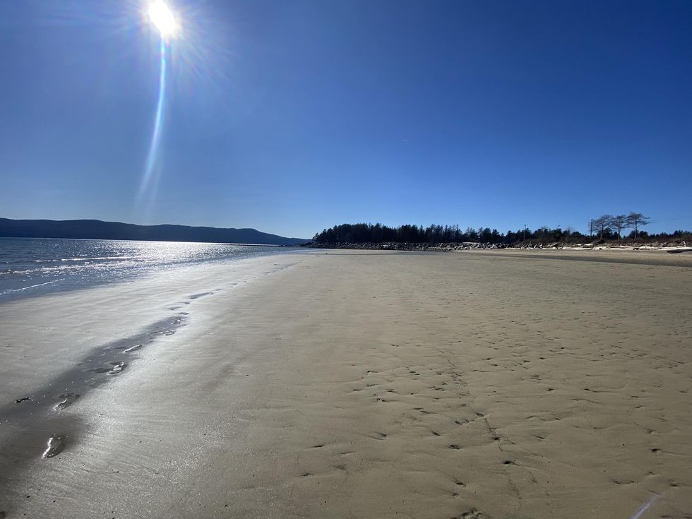 A beach on the property for sale in B.C.