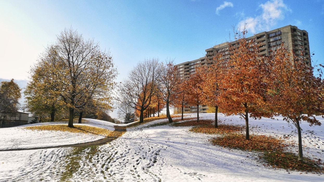 A beautiful mix of autumn and winter season.