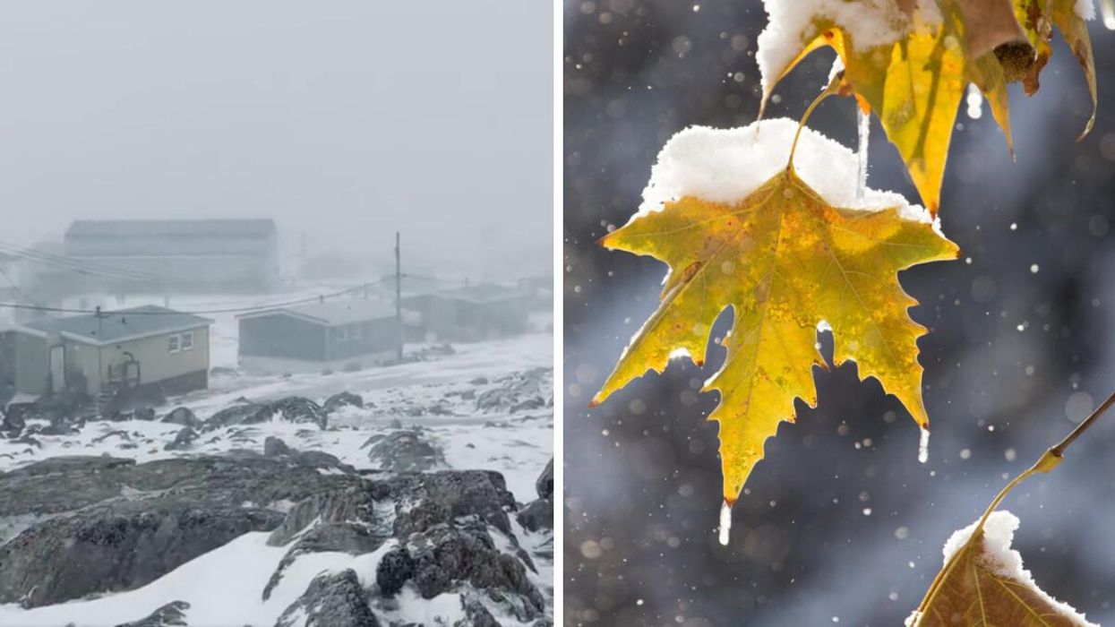 A blizzard in Nunavut. Right: Snow on leaves.