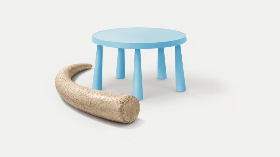 A blue stool next to a mammoth tusk.