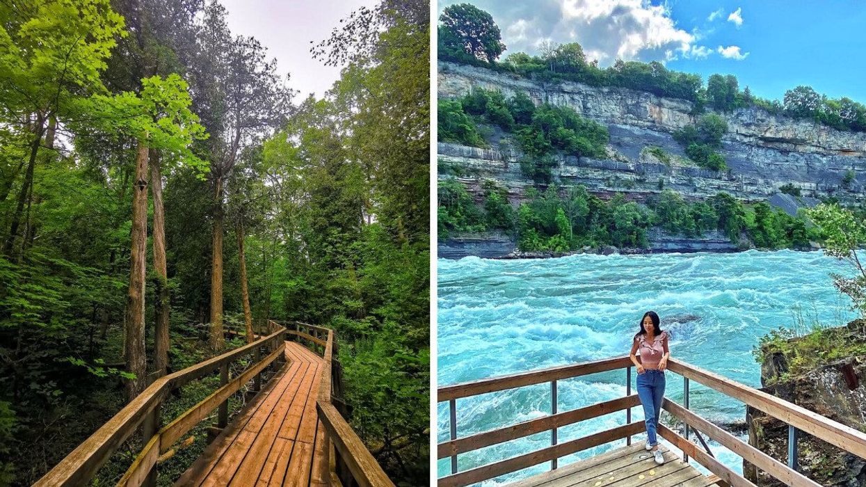 A boardwalk trail through a forest. Right: A person standing on a platform by rapids.