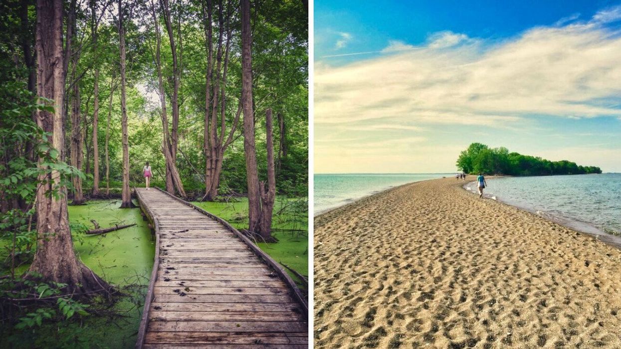 A bordwalk trail through a marsh. Right: A sandy beach.