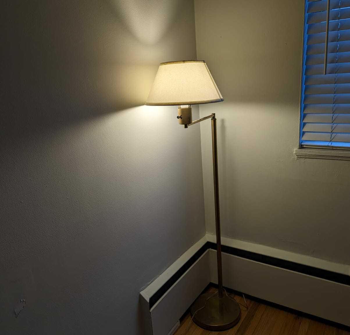 A brass floor lamp.