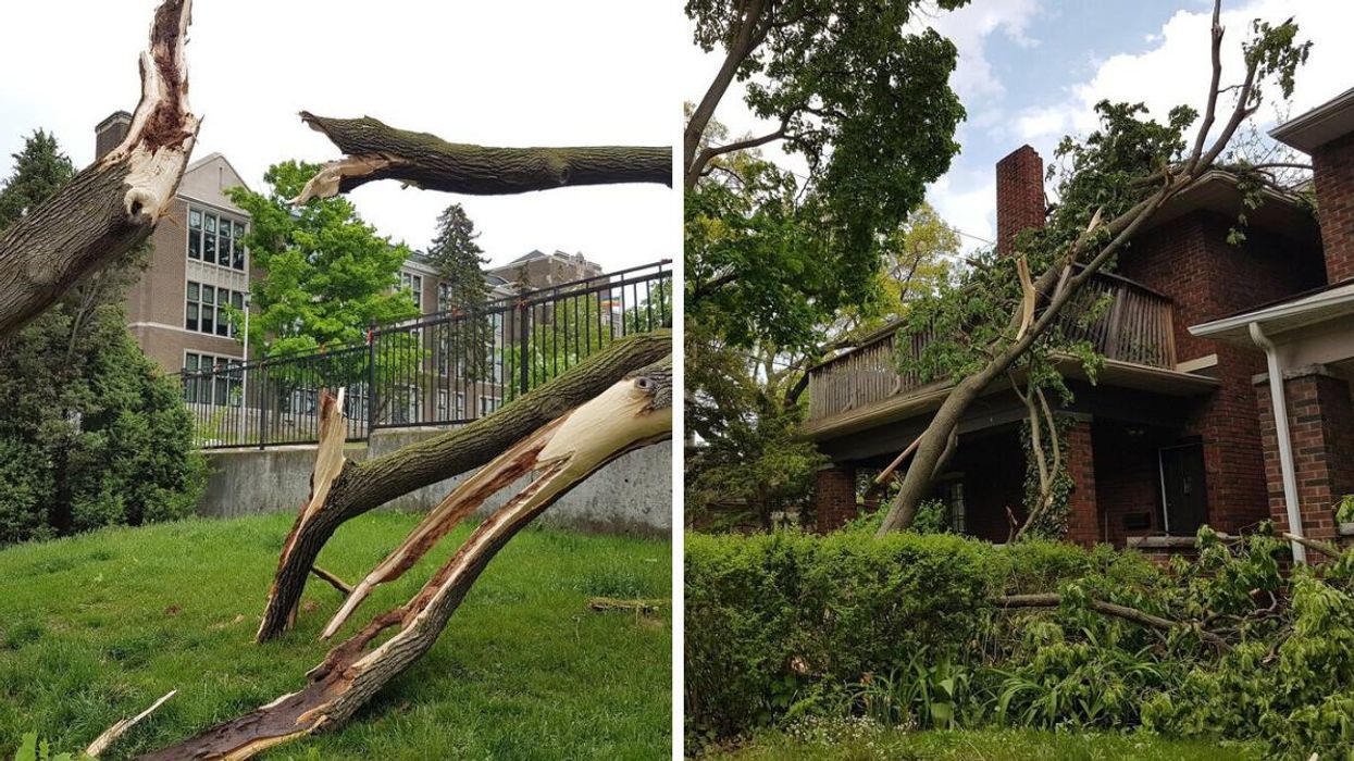 A broken tree. Right: A tree leaning on a house.