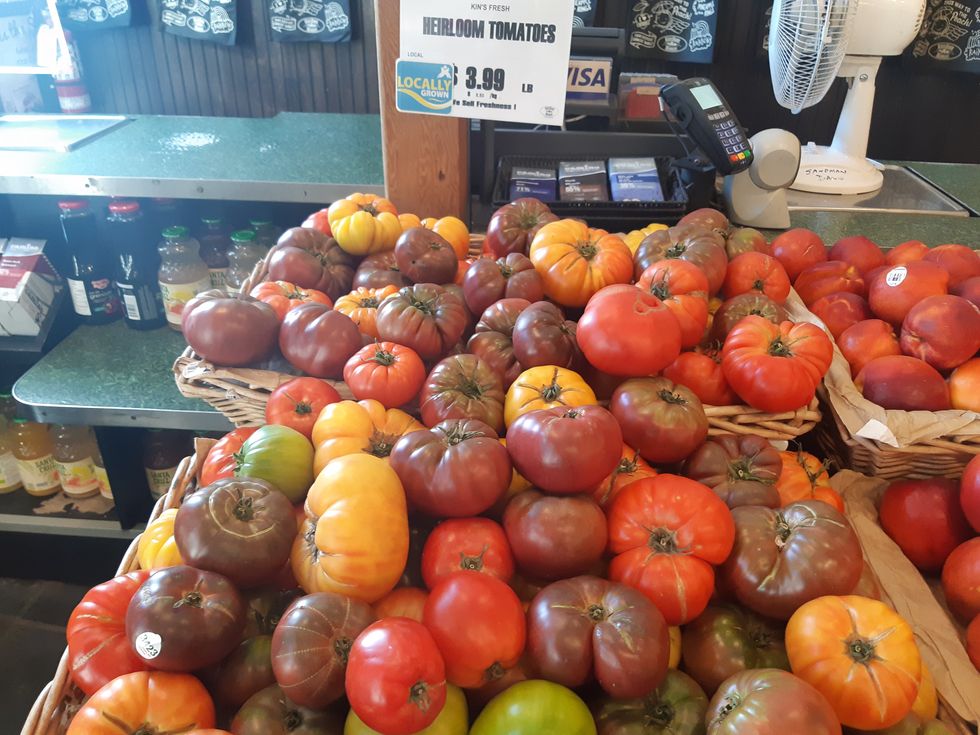A bucket of tomatoes.