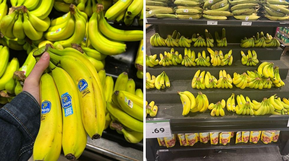 A bunch of bananas at Metro. Right: Bananas at Sobeys