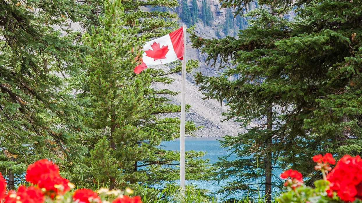 A Canadian flag in nature.