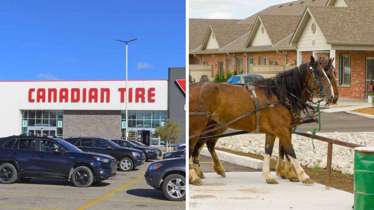 A Canadian Tire parking lot. Right: Horses outside some houses.